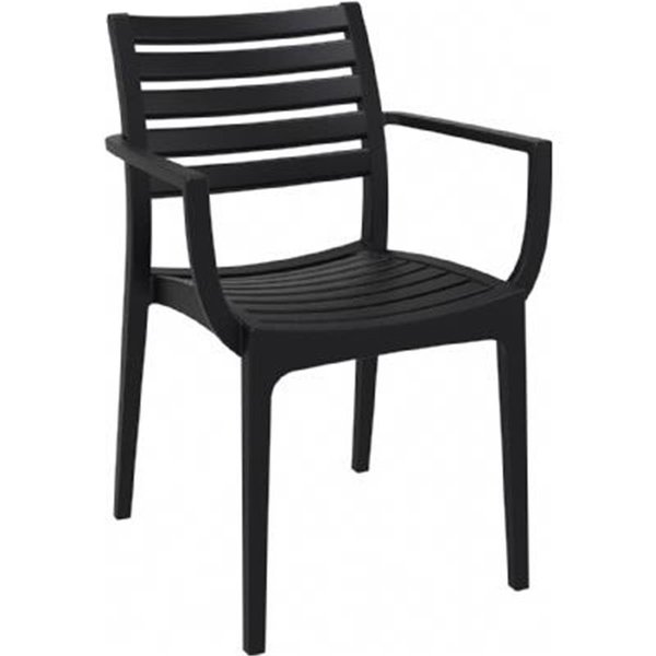 Fine-Line Artemis Outdoor Dining Arm Chair  Black - Set of 2 FI711261